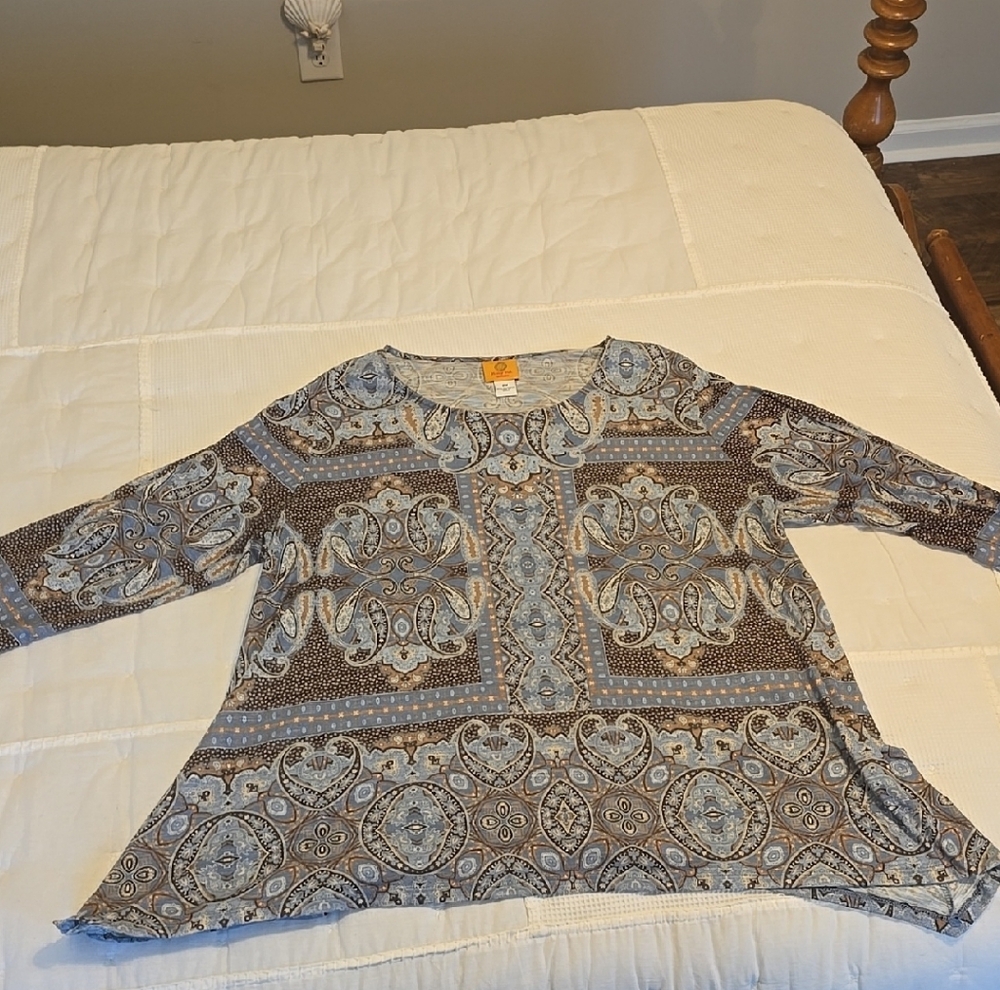 Blue and Brown Tunic Top with Elegant Design